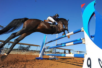 The bottom view on the rider on horse jumping over a hurdle during the equestrian event