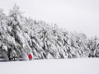 Unrecognizable person in red coat standing by snow covered trees