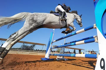 Photo sur Plexiglas Léquitation The bottom view on the rider on horse jumping over a hurdle during the equestrian event