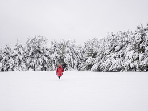 Person In Red Coat Walking Through Snow In Winter