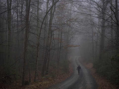 Person walking down tree lined road in mist