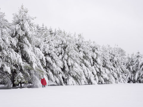 Unrecognizable person in red coat standing by snow covered trees