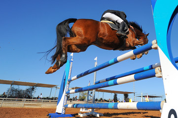 The bottom view on the rider on horse jumping over a hurdle during the equestrian event