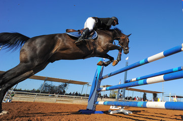 Rider on horse jumping over a hurdle during the equestrian event