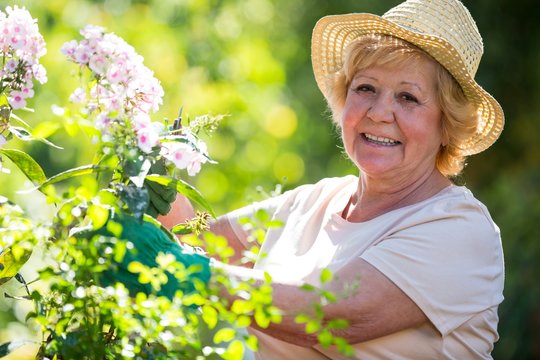 Senior woman examining flowers in garden