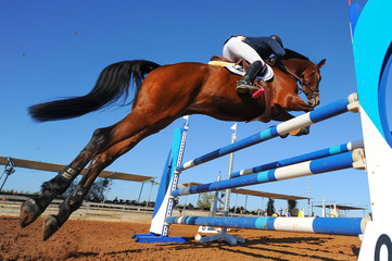 The bottom view on the rider on horse jumping over a hurdle during the equestrian event