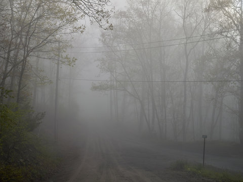 Telegraph wires seen through the mist on a country road