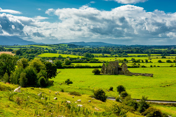 Obraz premium Ausblick von Hügel mit Schafen über Landschaft in Irland 