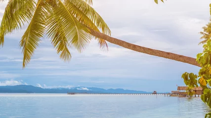 Photo sur Aluminium Lilas Coconat Palm on Kri Island, Homestay and Pier in Background. Raja Ampat, Indonesia, West Papua