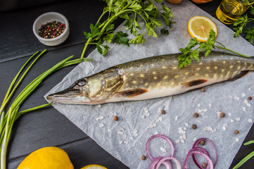 Fresh pike with spices and greens on white parchment. Wooden blackbackground. Top view. Close-up