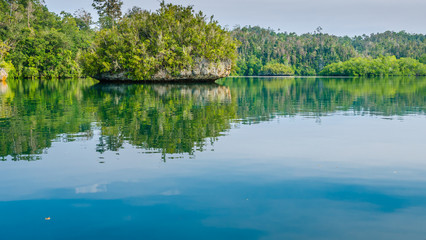 Rocks overgrown with Palmtrees in Hidden Bay on Gam Island near Kabui and Passage. West Papuan, Raja Ampat, Indonesia
