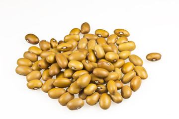 Heap of dried brown beans on white background