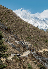 View of the Everest (8,848 m) from the trek to Namche Bazar - Nepal, Himalayas