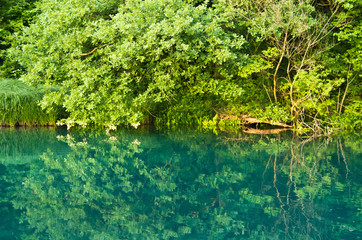 Beautiful green color of Mlava river at summer in east Serbia