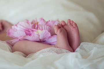 Obraz na płótnie Canvas ноги Новорожденного спящего ребенка