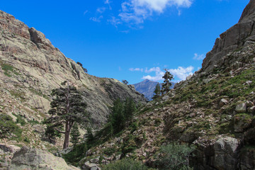 Fototapeta premium Mountain landscape, Corse, France.