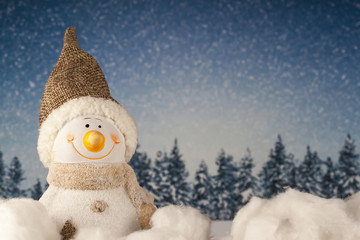 Toy snowman. 