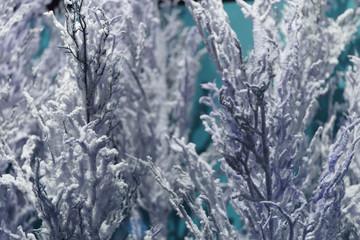 Unusual background of tree branches. Concept new year