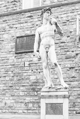 Michelangelo's David in Florence, Tuscany - Italy