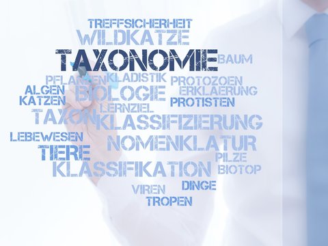 Taxonomie