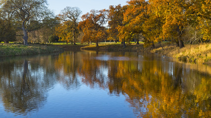 Winter reflections in the lake Holkham Park Norfolk