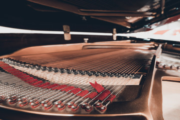 Piano strings and hammer