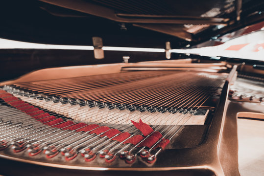 Piano strings and hammer
