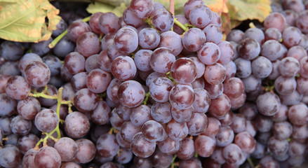 fresh grapes selling at market