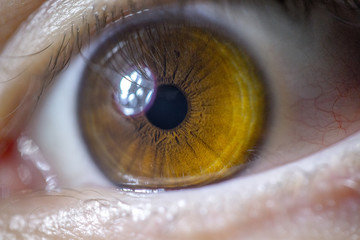 Macro Eye