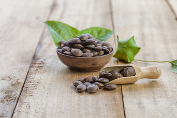 dried capsule seeds fruit of Sacha Inchi peanut on wooden