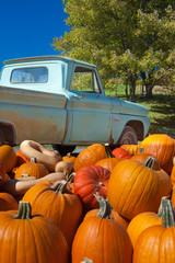 Truck and Pumpkins