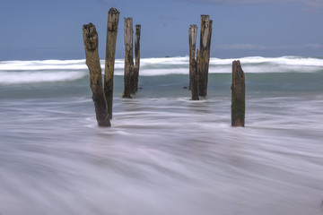Old jetty piles at St. Clair Beach, Dunedin at daylight, New Zealand