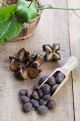 dried capsule seeds fruit of Sacha Inchi peanut on wooden