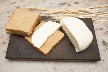Cheese and bread
