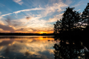 Naklejka premium Bald Cypress trees at sunset at Stumpy Lake in Virginia Beach, Virginia. 