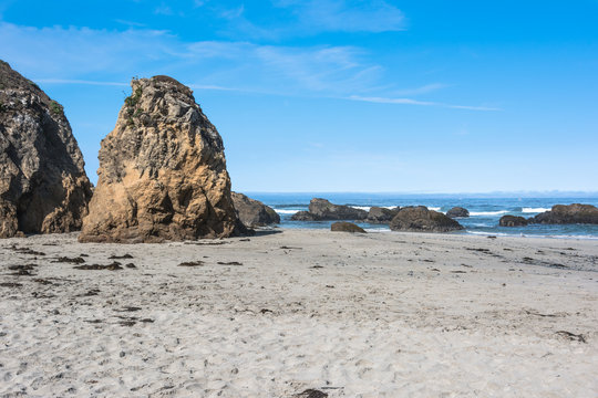 Fort Brag Coast, California