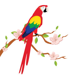 Parrot on tree branch