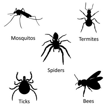 Insect icon set