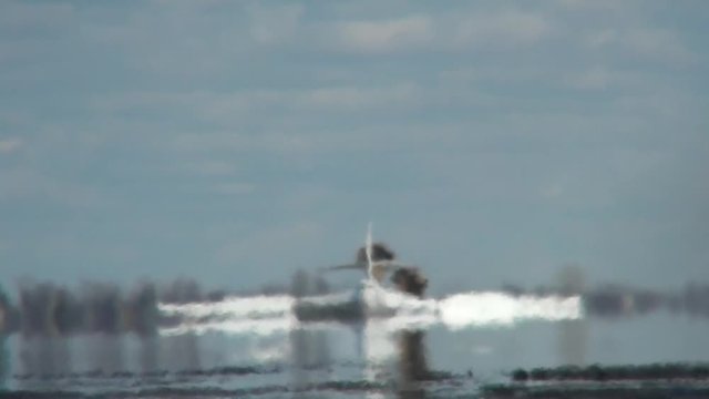 Plane with brake parachute