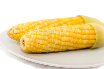 Corn on white background selective foucs