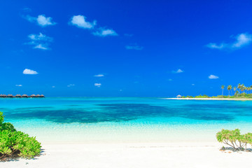 Fototapeta na wymiar tropical beach in Maldives