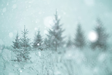 Fototapeta premium blurred background abstract winter snow landscape