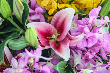Orchids and Lily flowers. Beautiful closeup bouquet background