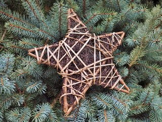 Drewniana gwiazda tle świerkowych gałązek - dekoracja bożonarodzeniowa © Vividness