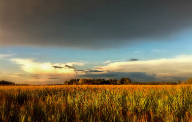 Stimmung nach dem Gewitter