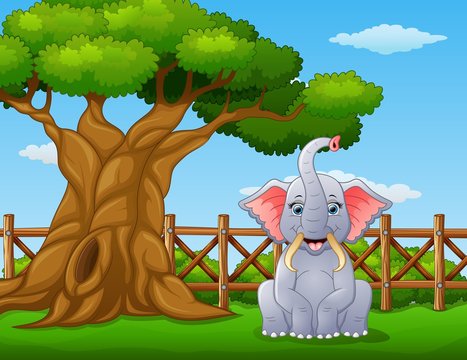 Animal elephant beside a tree inside the fence