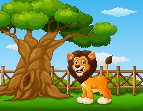 Animal lion standing beside a tree inside the fence
