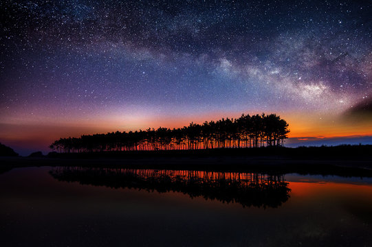 Silhouette of row tree with milky way.