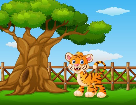 Animal tiger standing beside a tree inside the fence
