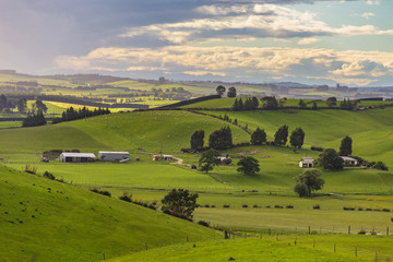 Nature green hills with blue sky in New Zealand